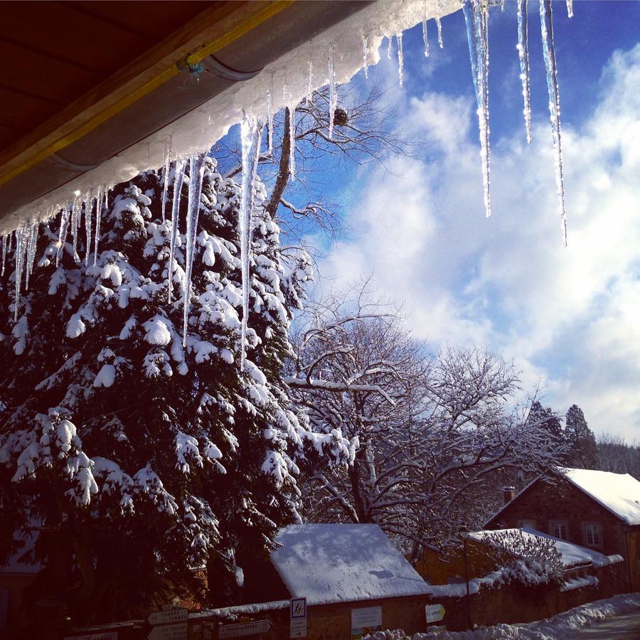 La Vieille Auberge Du Lac Saint-Agnan  Buitenkant foto